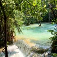 Tranquil Traditions in Luang Prabang