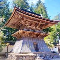 《金剛峯寺》⛩️歷史悠久的真言宗總本山寺院⛩️