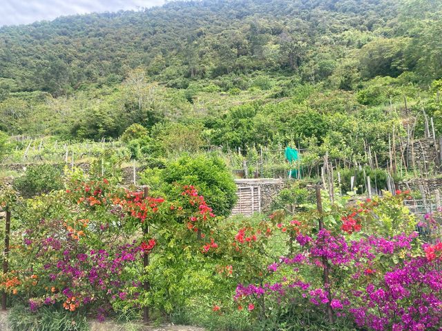五漁村的第三個村Corniglia