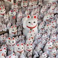 來東京不能錯過得的貓貓神社🐱