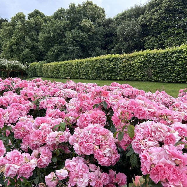 St. Anne’s Park-Dublin