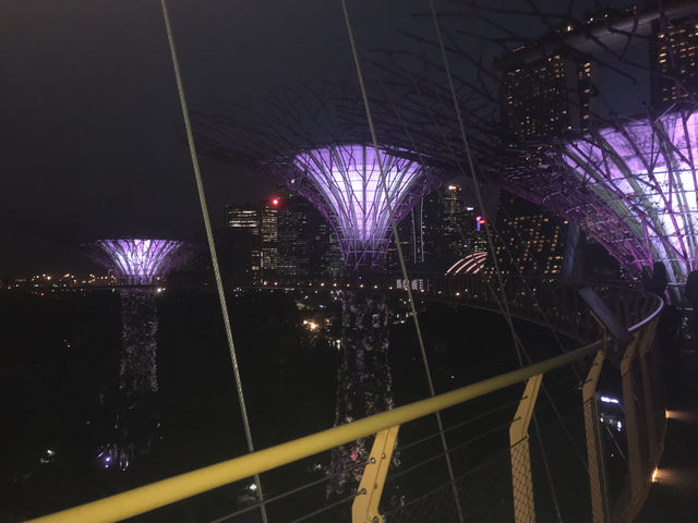 Gardens by the Bay: Singapore’s Futuristic Oasis of Nature and Wonder