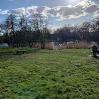 Beautiful nature walk in Highams Park 
