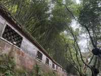 A Day Trip to UNESCO Leshan Giant Buddha from Chengdu