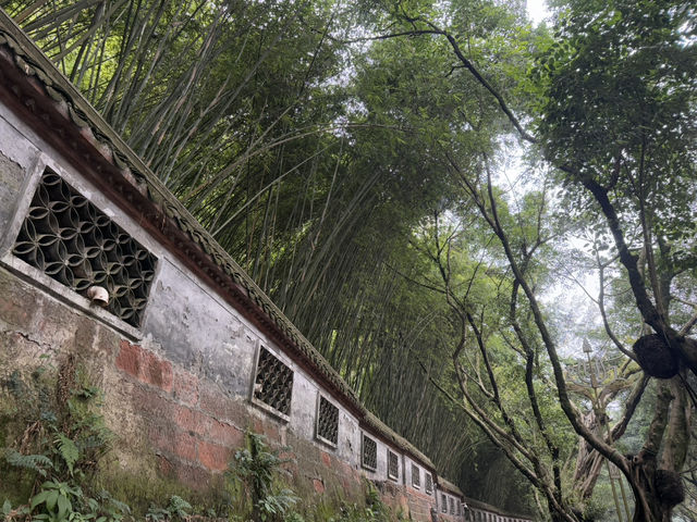 A Day Trip to UNESCO Leshan Giant Buddha from Chengdu