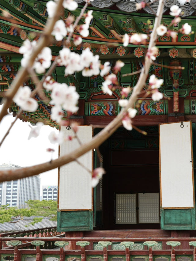 【昌徳宮】韓国ドラマの舞台！ソウルの世界遺産へ