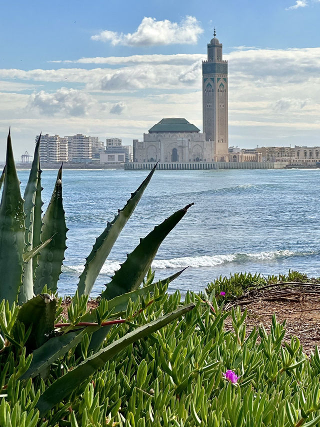 1 Day Itinerary in Casablanca