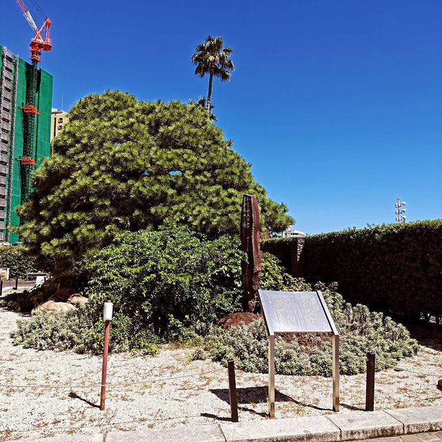 A beach where you can also enjoy taking pictures