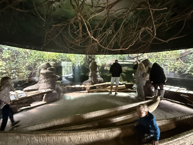 🦁 Wild Day Out in the City: London Zoo Adventure!