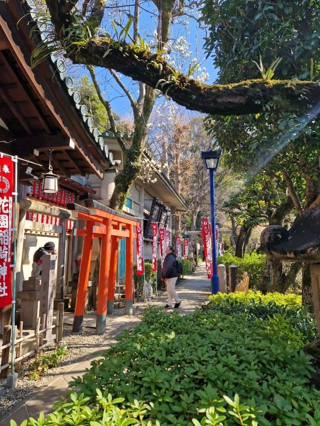 10 Tokyo Neighborhoods That Show the City’s True Colors