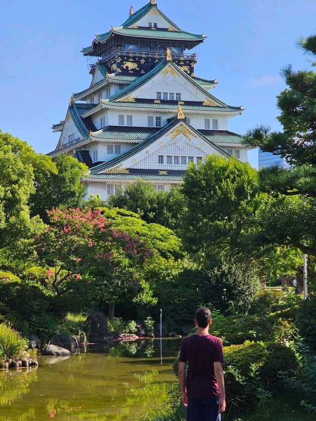 🇯🇵 My Ultimate 3-Week Japan Itinerary: Culture, Nature & City Buzz in One Epic Trip 🌸