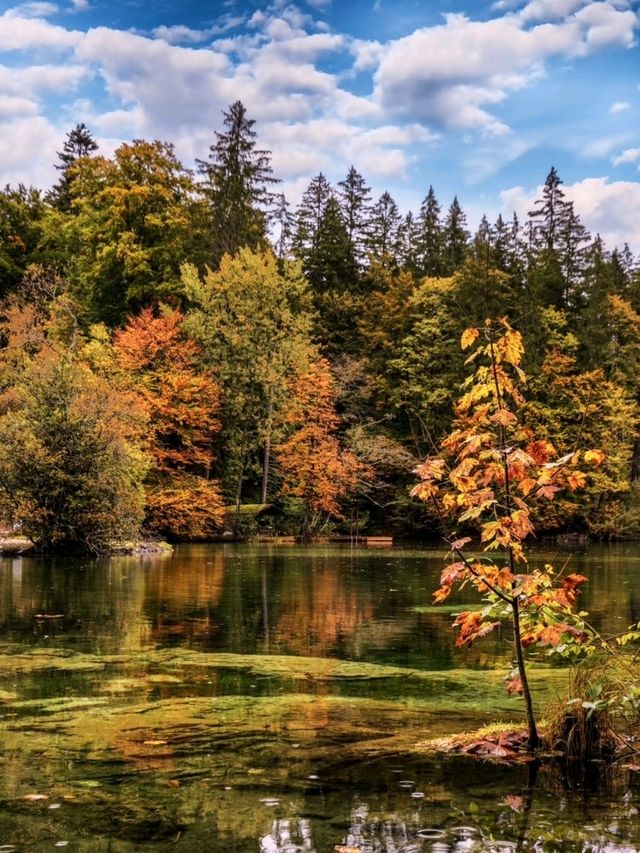 🏔 Garmisch-Partenkirchen: Where Bavarian Charm Meets Alpine Majesty 🌲🇩🇪