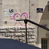 pretty Lyon
