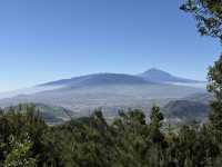 Uncovering Tenerife’s green landscape in Anaga Rural Park