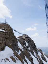 รีวิว: สะพาน Peak Walk by Tissot 