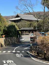 Japan Itinerary 3: Just back from a deep-dive day in Nara