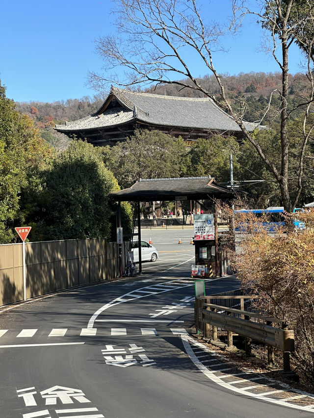 Japan Itinerary 3: Just back from a deep-dive day in Nara
