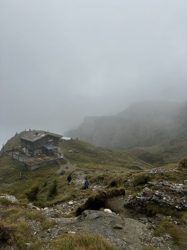 Escape into nature just an hour from the Bucharest? 🏔️