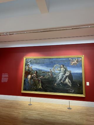 🏛️ 都柏林博物館：歷史與文化