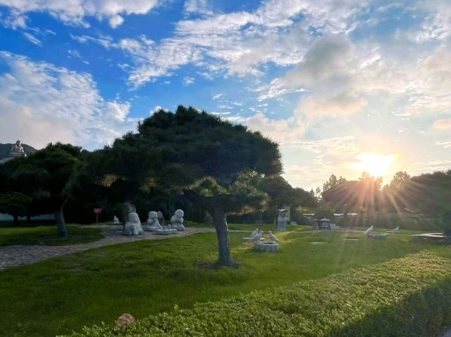 🌤 Nanshan Awakens: Morning Light Over Yantai’s Sacred Hills ⛰️✨