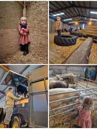 The Barn at Newmill, Dolphinton – A Fun, Farm-Filled Family Day Out