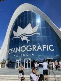 The oceanographic of Valencia