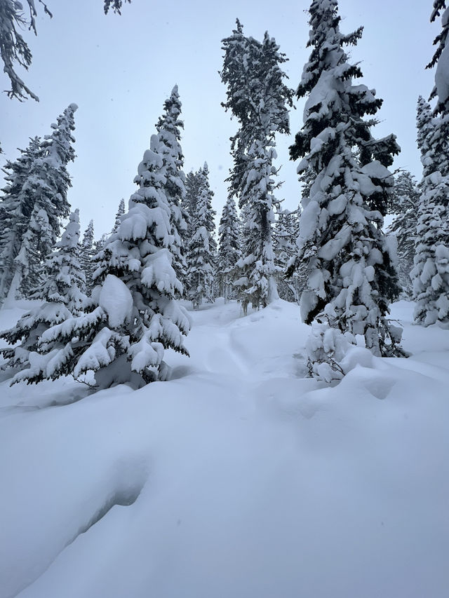 Республика Мамай