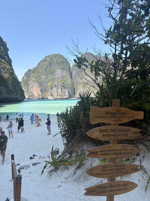 Phi Phi Islands Trip Report — For Anyone Who Wants to Be a Beautiful Christmas Cliché 🎄🌴 Phi Phi Islands Trip Report — For Anyone Who Wants to Be a Beautiful Christmas Cliché 🎄🌴
