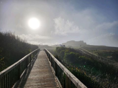 กำลังท่องเที่ยวไปตามชายฝั่งที่ขรุขระของโปรตุเกสอยู่หรือเปล่า? ปอร์โต โคโว คือที่ที่คุณอยากไป! 🌊☀️ สำหรับฉันแล้ว ไฮไลท์คือการเดินป่าไปยังเกาะเปสเซเกโร — ใช้เวลาเดินประมาณ 40-60 นาทีจากตัวเมือง — และได้พักผ่อนบนชายหาดทรายขาวละเอียดที่ทอดยาวสุดลูกหูลูกตา พร้อมชมวิวเกาะในระยะไกล เป็นความฝันในฤดูร้อนอย่างแท้จริง!

สถานที่ที่ต้องไปชม:
1. เกาะเปสเซเกโร: เดินตามเส้นทางเดินป่าที่มีป้ายบอกทางอย่างชัดเจนจากปอร์โต โคโว คุณจะได้พบกับชายหาดทรายขาวละเอียด คลื่นที่ซัดสาด และวิวทิวทัศน์อันกว้างใหญ่ อย่าลืมพกครีมกันแดดไปด้วย: ที่นี่แทบไม่มีร่มเงาเลย แต่ความสงบเงียบนั้นคุ้มค่า!
2. ลานกางเต็นท์บนเกาะเปสเซเกโร (ถนนเกาะ): นอนริมทะเล! ลานกางเต็นท์เรียบง่ายแห่งนี้อยู่ห่างจากน้ำเพียงไม่กี่ก้าว ดังนั้นควรตื่นเช้าเพื่อเดินเล่นชมพระอาทิตย์ขึ้นก่อนที่ผู้คนจะพลุกพล่าน

เคล็ดลับ: การเดินป่าจากปอร์โต โคโว นั้นง่าย แต่ควรสวมรองเท้าที่แข็งแรงเพราะทางเดินอาจเป็นหินขรุขระ หากคุณต้องการสัมผัสประสบการณ์ชายหาดที่เงียบสงบ ควรเริ่มก่อนเที่ยงวัน เพราะช่วงบ่ายจะคึกคักกว่า

วิธีเดินทาง:
สถานที่ส่วนใหญ่สามารถเดินได้! หากคุณพกสัมภาระหรืออุปกรณ์ตั้งแคมป์ ควรพิจารณาใช้แท็กซี่ท้องถิ่นในช่วงสุดท้าย ถนนสายหลัก (Estrada da Ilha) คือเส้นทางไปยังที่ตั้งแคมป์

อาหารและเครื่องดื่ม:
กลับไปที่หมู่บ้าน Porto Covo เพื่อลิ้มลองอาหารทะเลแบบง่ายๆ (ลองปลาซาร์ดินย่างที่ร้านกาแฟท้องถิ่น!) และขนมหวาน ไม่มีซูเปอร์มาร์เก็ตขนาดใหญ่ ดังนั้นควรซื้อของว่างล่วงหน้าสำหรับวันตั้งแคมป์

เคล็ดลับเพิ่มเติม: ช่วงกลางฤดูร้อนที่นี่ร้อนและแห้ง ควรเตรียมเสื้อผ้าหลายชั้นเพื่อป้องกันลม ตู้เอทีเอ็มมีเพียงแห่งเดียวในหมู่บ้าน Porto Covo ดังนั้นควรวางแผนให้ดี

#PortoCovoHike #PortugalBeaches #IlhaDoPessegueiro #CampingLife #SeaScenery