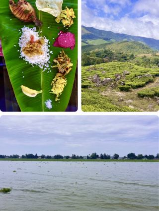 Dedicate a day to discovering Kochi’s food scene. Start with a traditional Kerala breakfast of appam