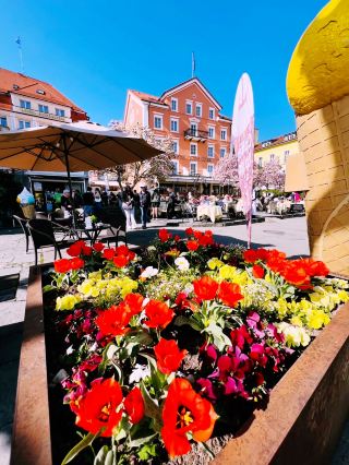 April in Lindau: Where the Alps Meet the Future of Travel 🇩🇪