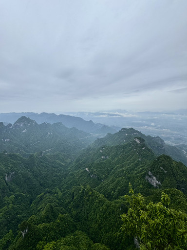 霧に包まれた天門山の絶景。 | Trip.com 張家界