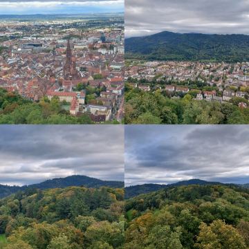 ドイツの黒い森（シュヴァルツヴァルト）、人々を魅了する森。 | Trip