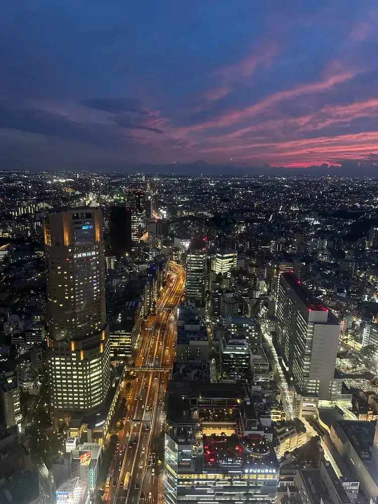  空から見下ろす東京：街の新たな魅力に出会える絶景スポット