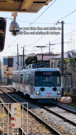 pov: you ride the cat train to visit the cat shrine in tokyo