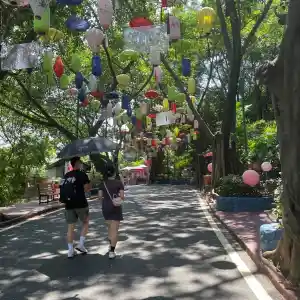 Theme park 🎢 Dongguan number 1 