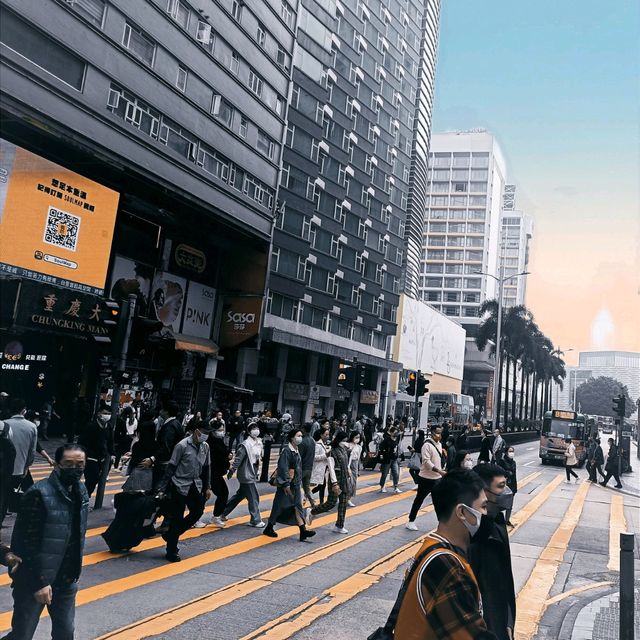Downtown TST: Day and Night