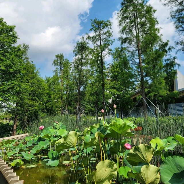 Serene Guiwan 🌿🌊🏙️