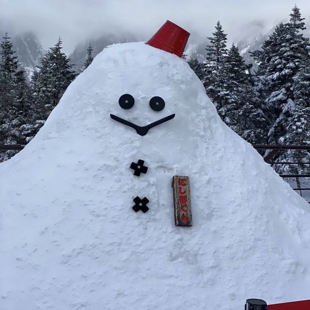 🇯🇵北陸阿爾卑斯山.新穗高