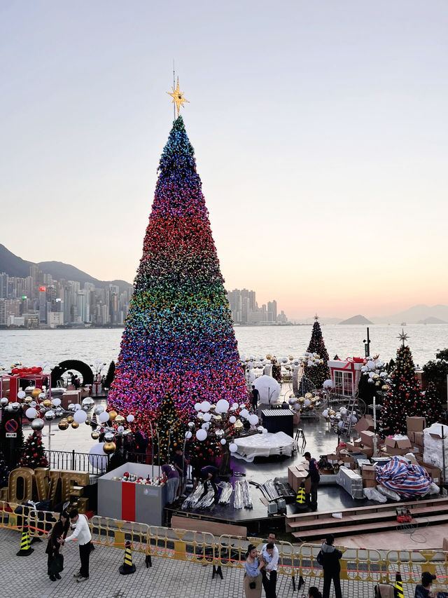 Best X'mas Photo Spots in Hong Kong 🎄