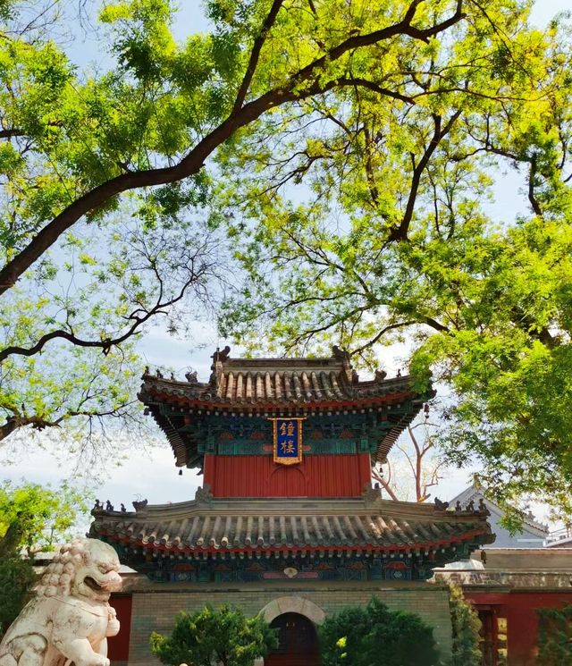你的風追到了廣濟寺