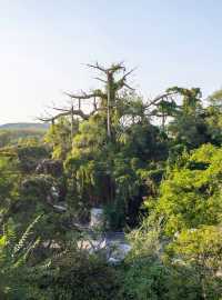 沈陽露營，隱山小鎮
