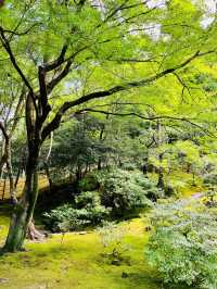 海外遊系列 京都 銀閣寺&哲學の道