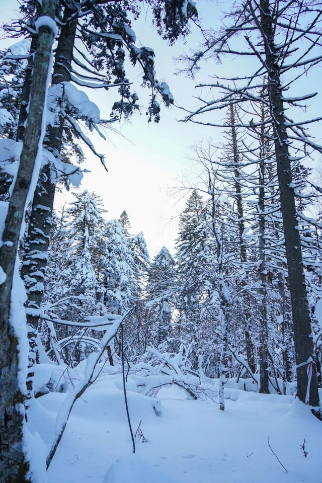 雪國美景，老裡克湖