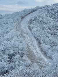 “雲上雪原”道場坪｜華東名山錄