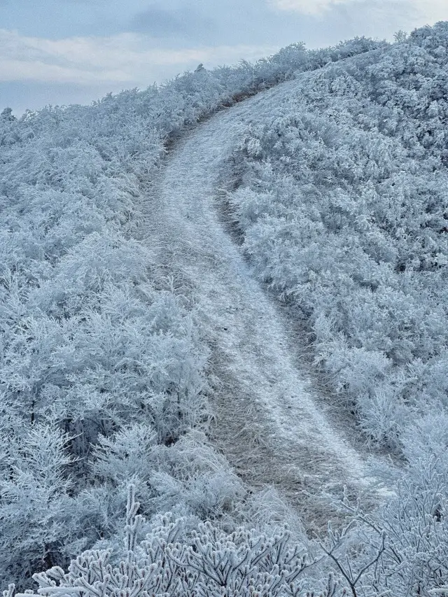 「雲上の雪原」道場平｜東中国の名山記録