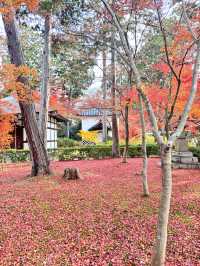 京都慢遊記