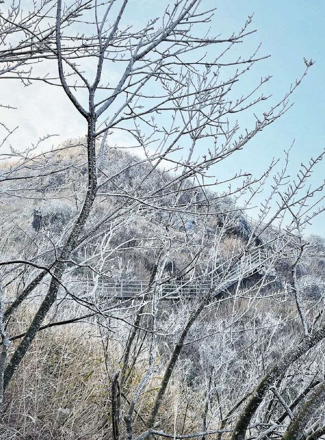 金子山，廣東絕美冰掛