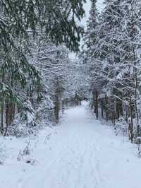 特朗布朗度假村：聞名遐邇的滑雪勝地