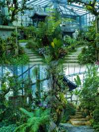 東莞溫室“仙境”：植物園裡的蘭花園，美得讓人窒息！